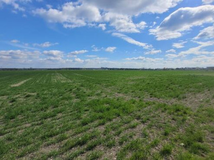 Sprzedaż 1,58 ha - budownictwo mieszkaniowe Opole