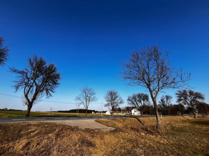 Działka budowlana Polaki, gm.Kotuń