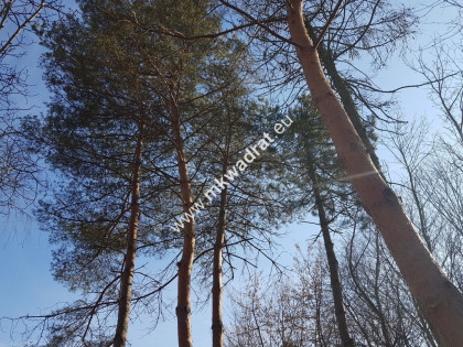 ⭐⭐⭐⭐⭐  KLIMATYCZNY DOM W CENTRUM Brwinowa  ⭐⭐⭐⭐⭐