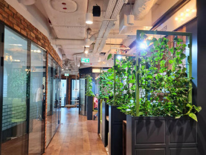 Lokal użytkowy Warszawa gm. Śródmieście Śródmieście, Tadeusza Czackiego