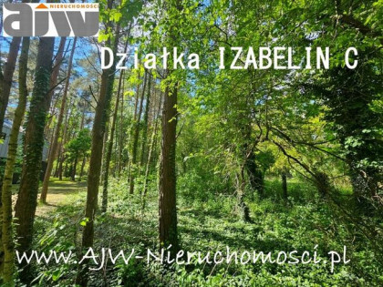 Działka budowlana Izabelin C gm. Izabelin, Izabelin
