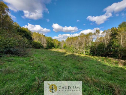 Niegdyś siedlisko-dziś Twój ruch | 5,6 ha Kobysewo