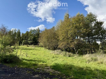 49,02 ar pod dom lub inwestycję - Słocina Rzeszów