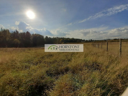 Banino - zabudowa jednorodzinna lub bliźniacza