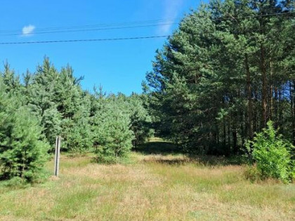 Działka budowlana o powierzchni 1686 m2, Prażuchy Nowe