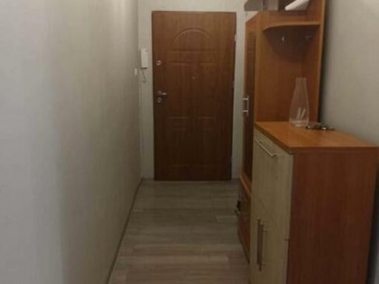 Wynajmę mieszkanie w Zabrzu