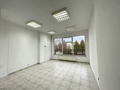 Pawilon do wynajęcia