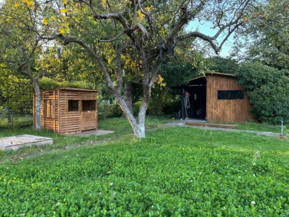 Działka 420 m2 rekreacyjna ROD Sienkiewicza, ul. Tenisowa/26