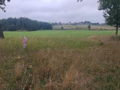Sprzedam działkę rolno - budowlaną