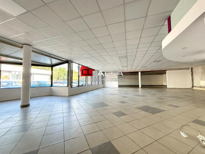 Lokal użytkowy Świdnica, okolice Centrum