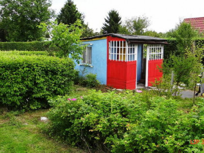 Działka ROD 448m2 w Pile Różyckiego