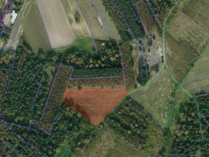 Sprzedam działki rolne położone w Knapach (Smykle)