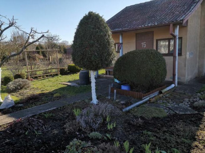 Działka rod Szczecin Wielgowo