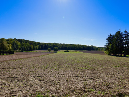 Działki | Ciechanów | ul. Leśna | 2367 m2