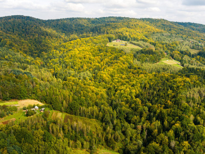 Działka rolno-leśna w Jodłówce Tuchowskiej