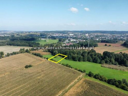 Działka rolna Syrynia gm. Lubomia
