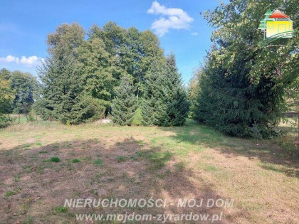 Działka rolna Tomaszew gm. Wiskitki