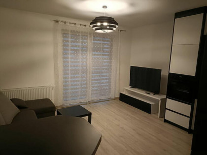 Mieszkanie do wynajęcia