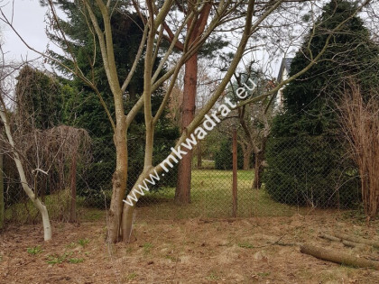 ⭐⭐⭐⭐  Blisko WKD  na dom 2 lokal Media 1600m2 ⭐⭐⭐⭐