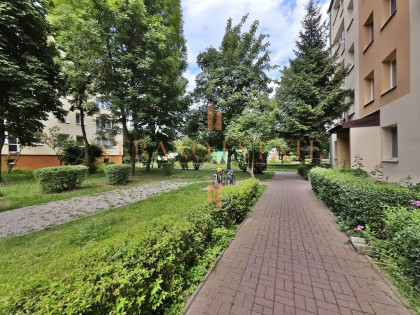 Najtańsze | 3 pok. | widna kuchnia | przy WKD