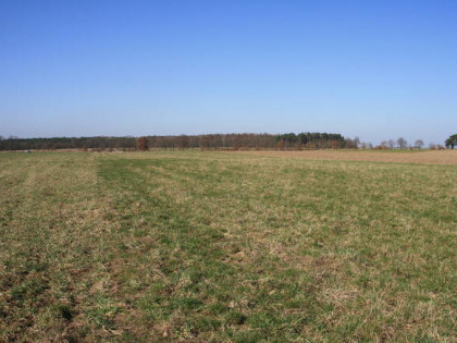 Działka rolno-budowlana Rogowo gm. Stargard