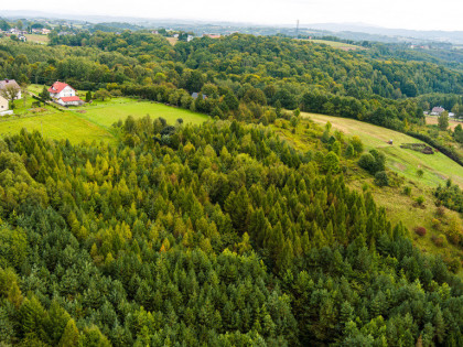 Na sprzedaż działki w Zalasowej