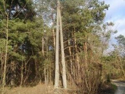 Działka Leśna w Radomiu -inwestycyjna  7307m2