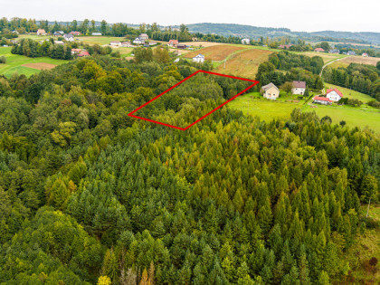 Na sprzedaż działka w Zalasowej