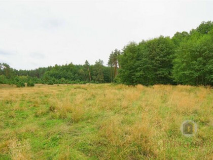 Działki otoczone lasem, powierzchnie od 1543 m2