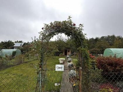 Sprzedam ogródek działkowy ROD