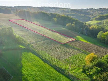 51,4a, 3 działki z WZ, widokowe
