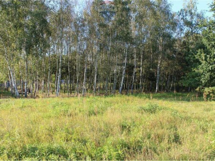 Działka budowlana 14 ara z dojazdem do A4 w 15 min