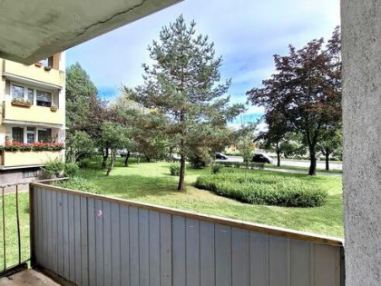 Tysiąclecie, Armii Krajowej