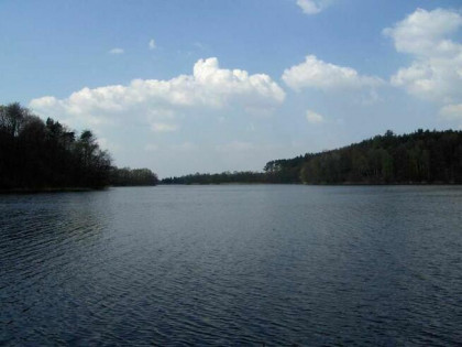 Duża działka na 2 domy, nad jeziorem, 35 km od Poznania