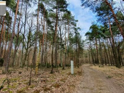 Działka budowlana Wólka gm. Leszno, .