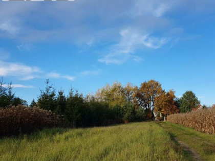 Działka budowlana Zielonki-Wieś gm. Stare Babice, .