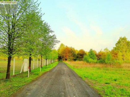 Działka rolna Mariew gm. Stare Babice,