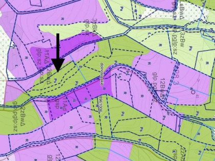 działka rolna 2,16 ha w Jaszkowej Górnej (gm. Kłodzko)