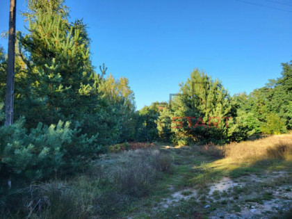 Działka rolna Borszyce gm. Kowiesy,