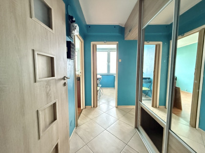 2 pokoje przy Placu Rodła i Parku Żeromskiego