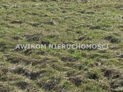 Działka budowlana Jaktorów Chyliczki