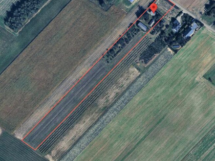 Działka siedlisko Tomaszowice gm. Jastków zabudowania