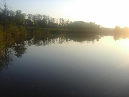 Działka nad jeziorem Strzelniki z domkiem letniskowym