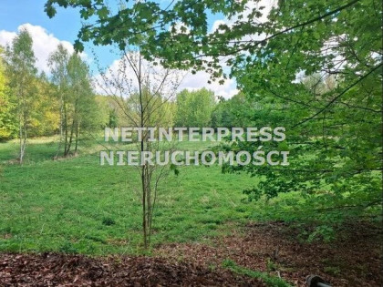 Działka Sitno gm. Szczecinek Świątki