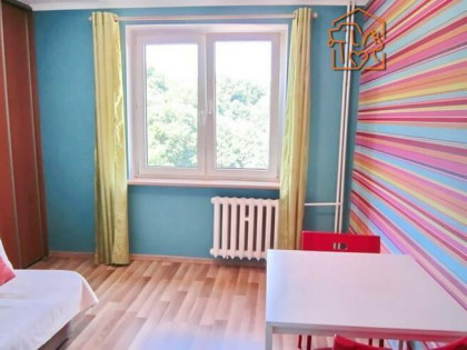 Kawalerka pet-friendly - Spadzista 10