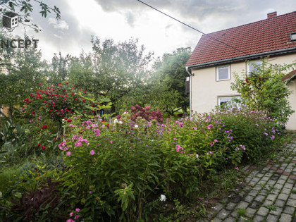 Piękna, zielona okolica - duża działka, dom i zabudowania