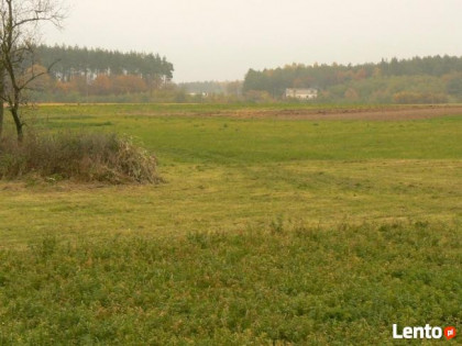 Zielony Raj k. Bydgoszczy