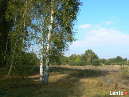 Pięknie i tanio k. Bydgoszczy.