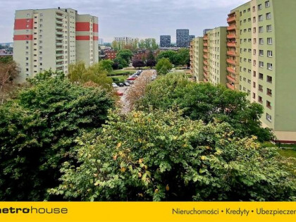 Katowice mieszkanie z potencjałem ładna okolica