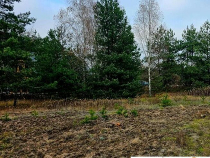 Działka budowlana o pow. 1084 m2 na skraju lasu.